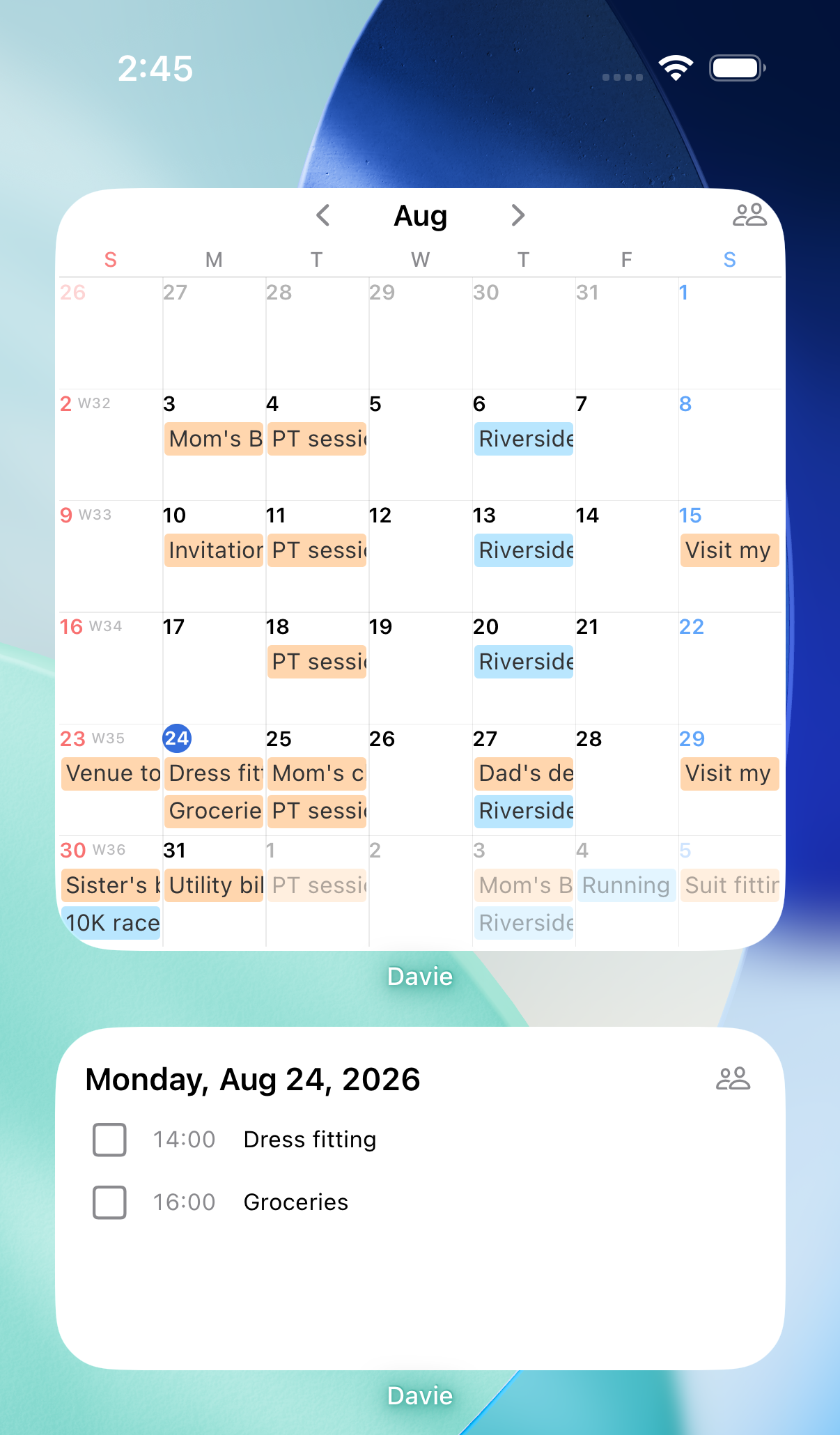 Home screen — top: month calendar (large), bottom: today's plans (medium)